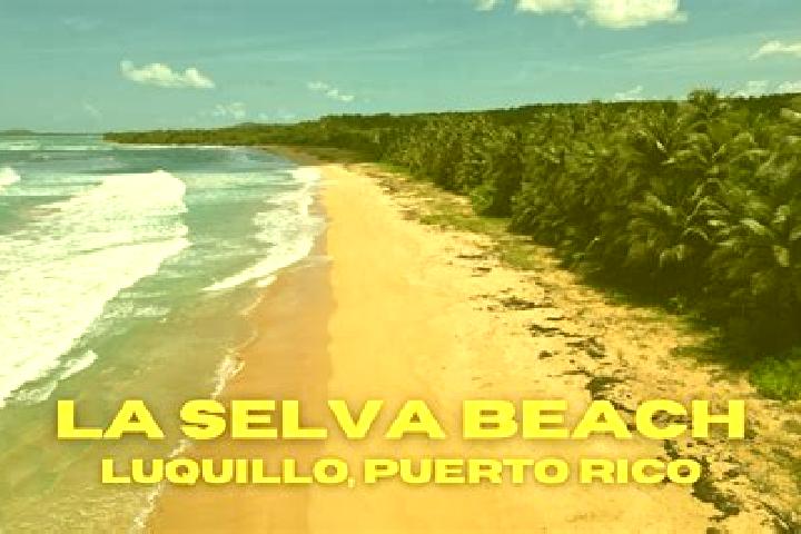escort La Selva Beach