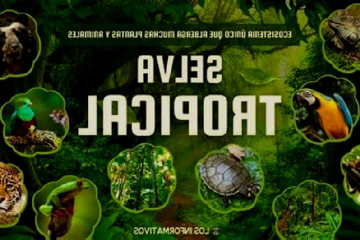 escort La Selva