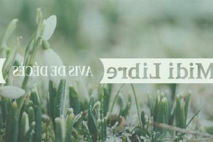 escort La Selve