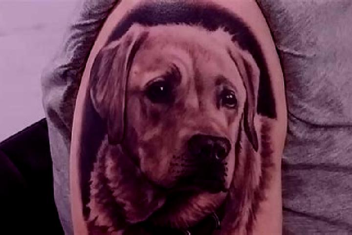 escort Labrador