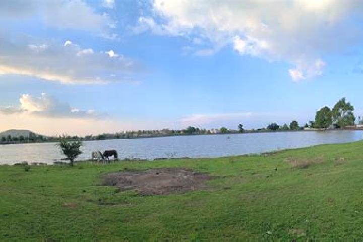 escort Laguna de Vaquerias