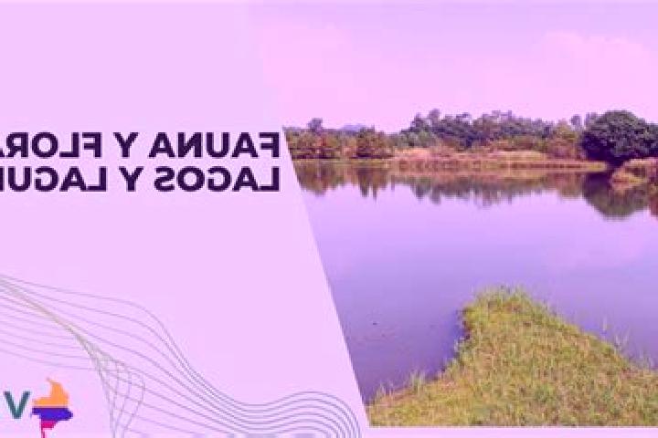 escort Lagunas