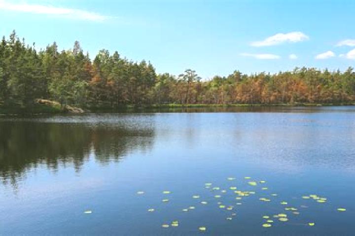 escort Lake Albert