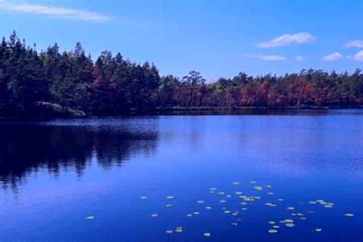 escort Lake Arthur