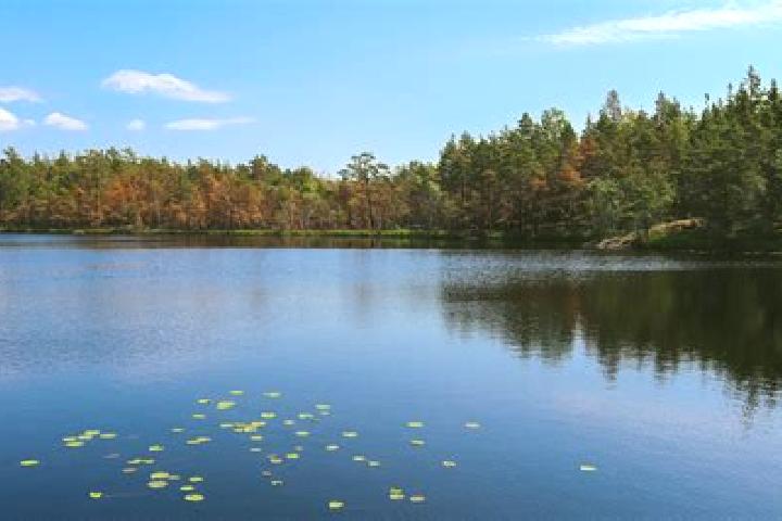 escort Lake Butler