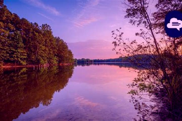 escort Lake Charlotte