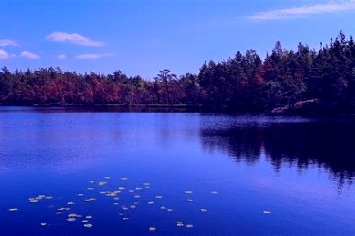 escort Lake Darby