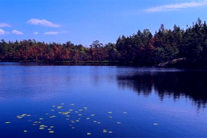 escort Lake Delton
