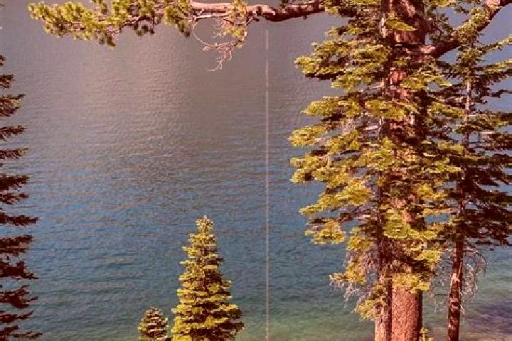escort Lake Echo