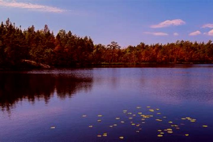 escort Lake Evesham