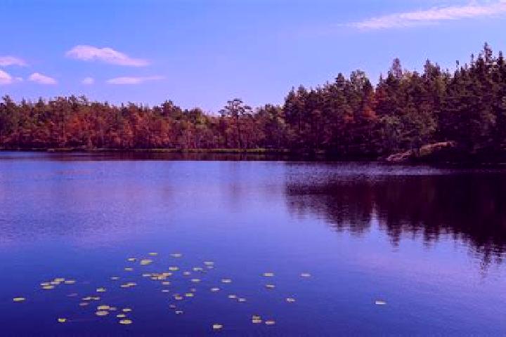 escort Lake Hallie