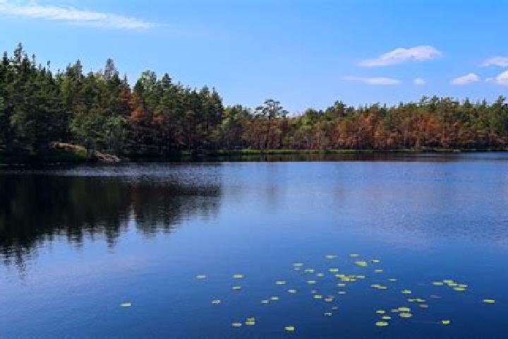 escort Lake Hart