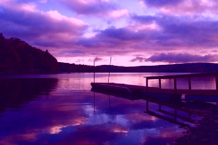 escort Lake Haven