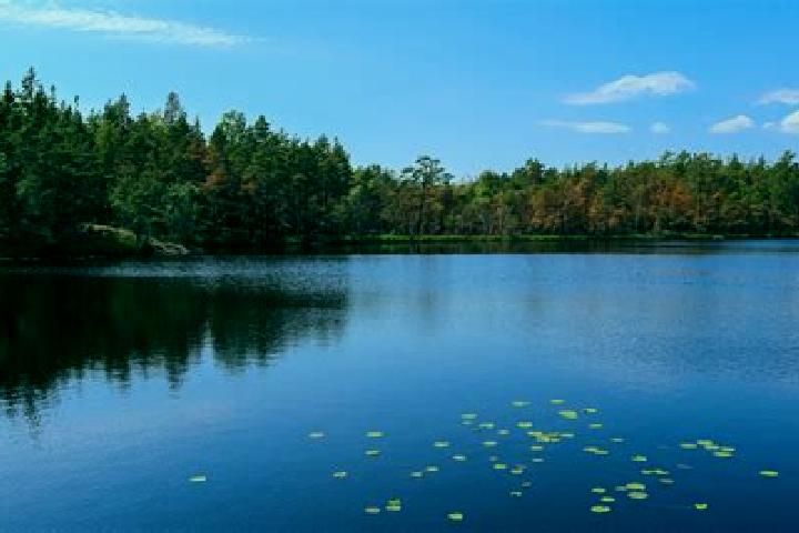 escort Lake Hiawatha
