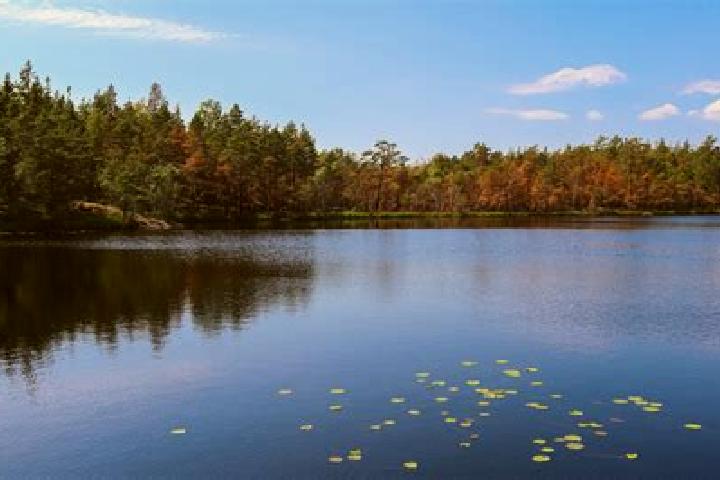 escort Lake Hughes