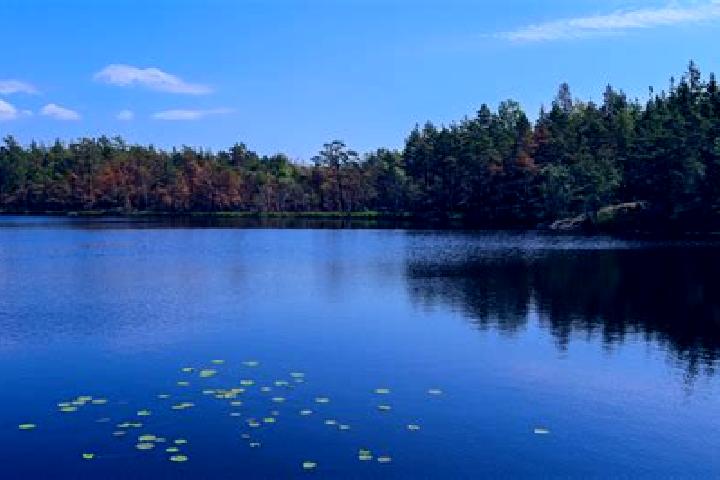 escort Lake Panorama