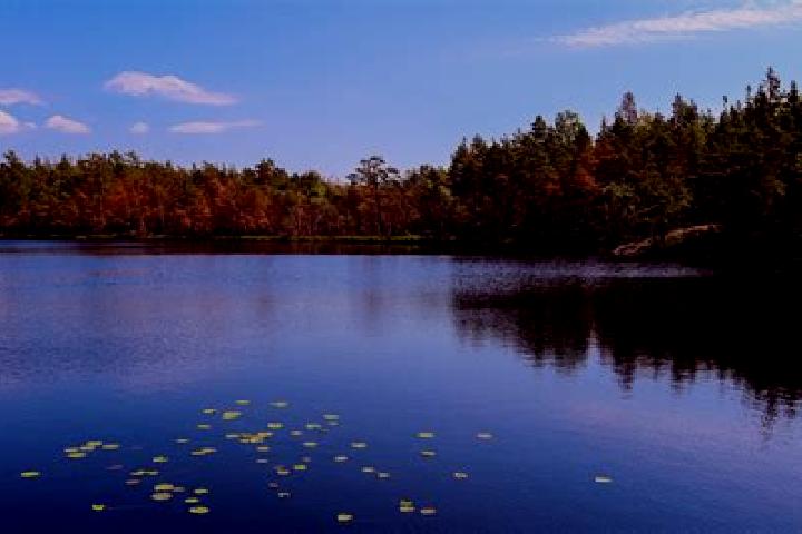 escort Lake Providence