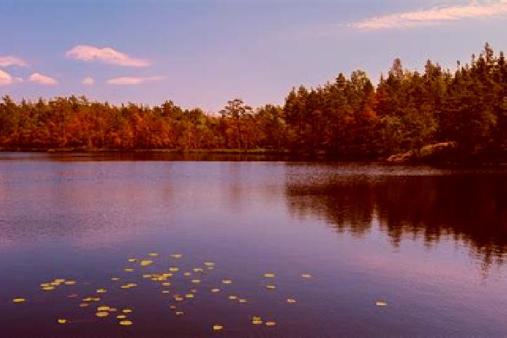 escort Lake Tanglewood