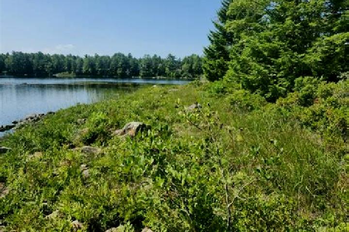 escort Lakeshore North-Conservation