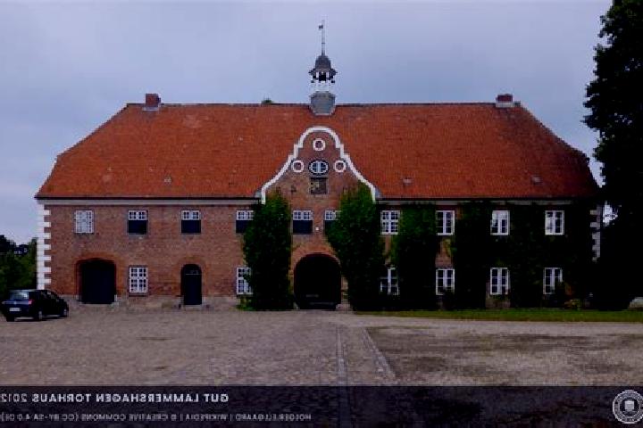 escort Lammershagen
