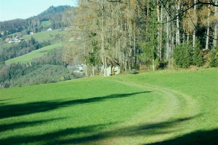 escort Landscha bei Weiz