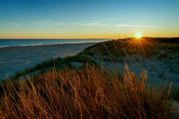 escort Langeoog