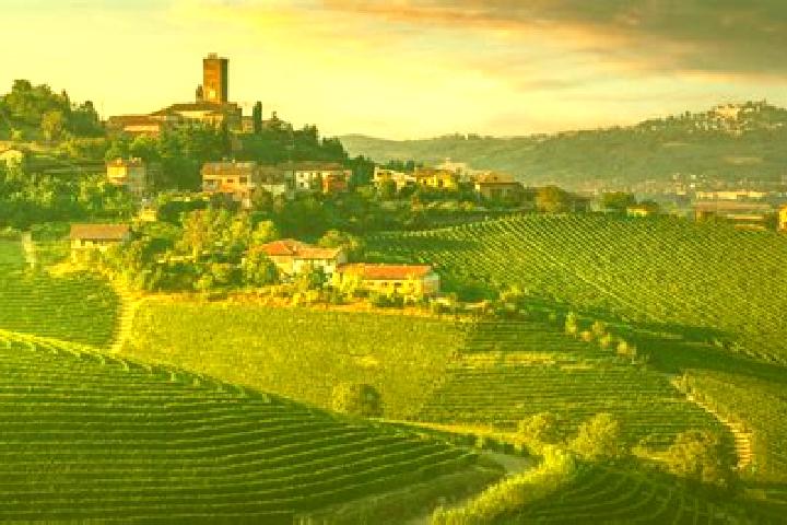 escort Langhe
