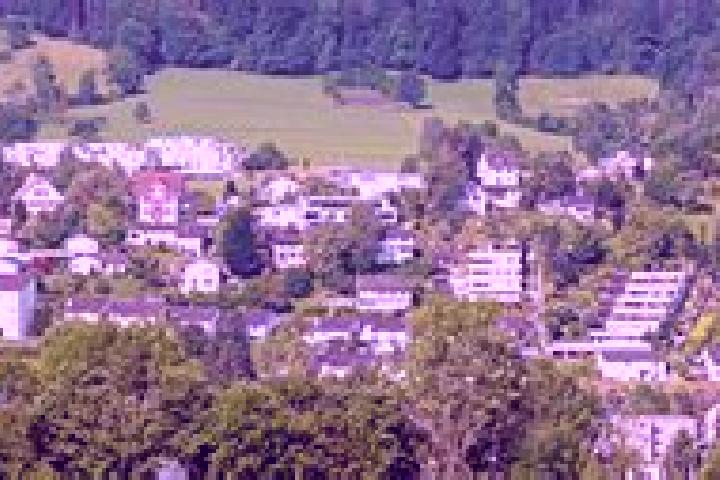 escort Langnau am Albis