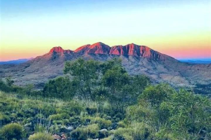 escort Larapinta