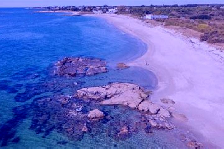 escort Larmor-Plage