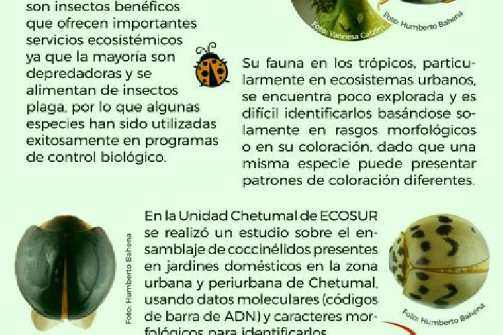 escort Las Catarinas