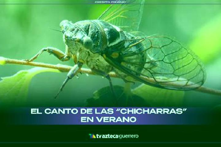escort Las Chicharras
