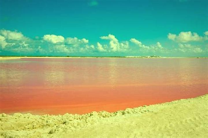 escort Las Coloradas