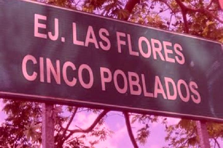 escort Las Flores Cinco Poblados