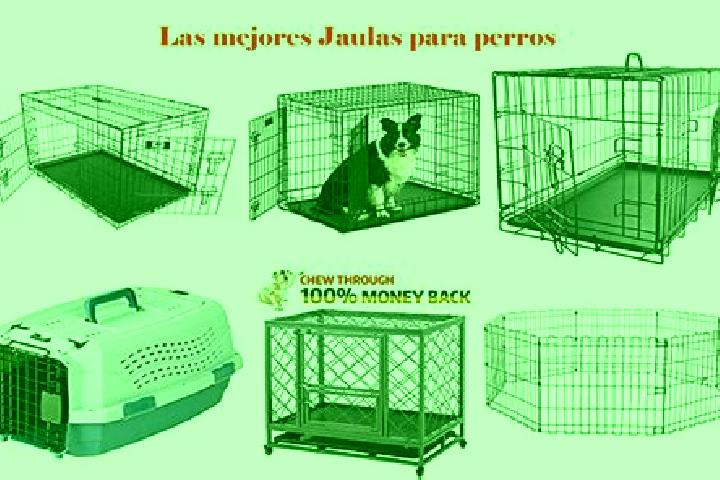 escort Las Jaulas