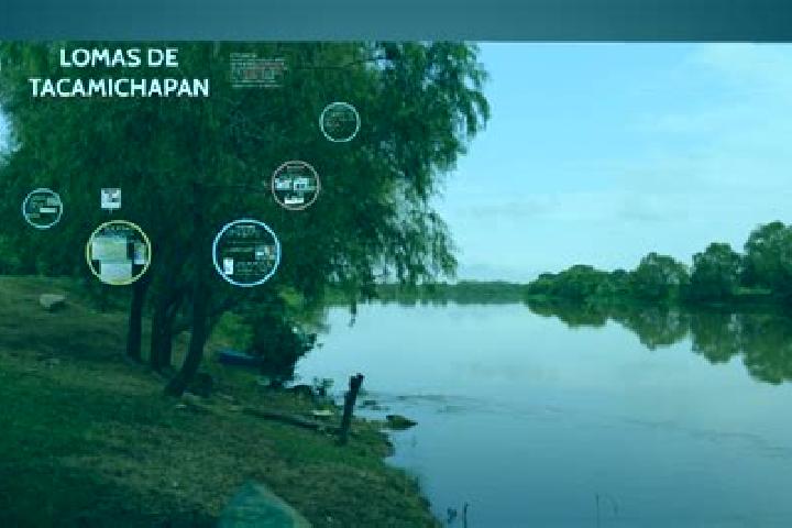 escort Las Lomas de Tacamichapan