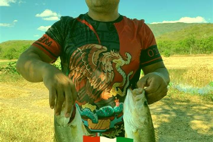 escort Las Mojarras