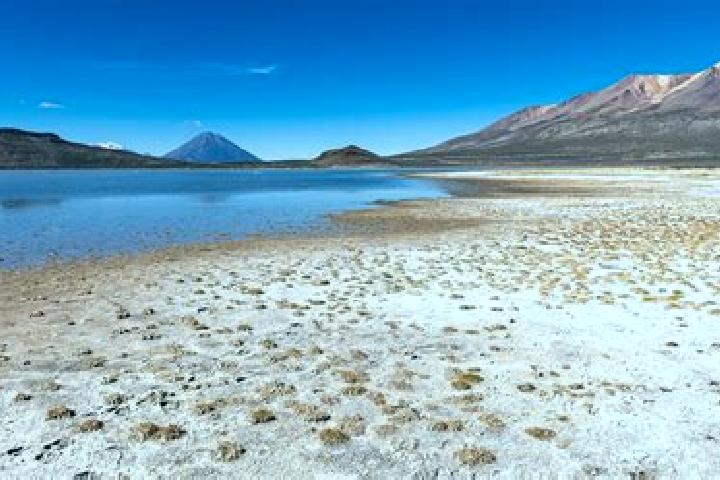 escort Las Salinas