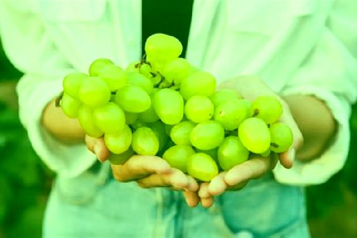 escort Las Uvas