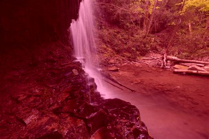 escort Laurel Run