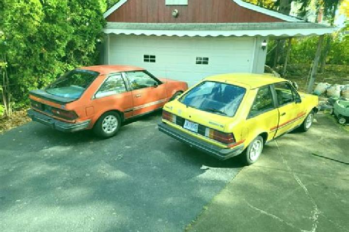 escort Laurelton