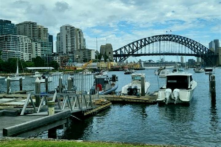 escort Lavender Bay