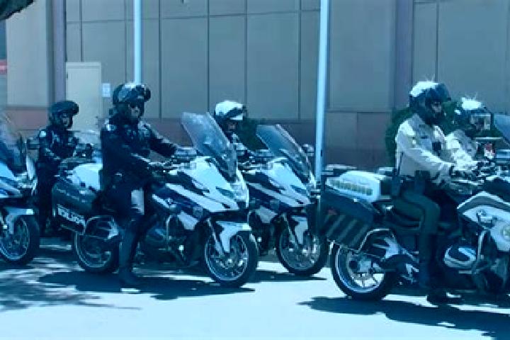 escort Law