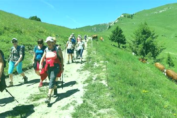 escort Le Chambon