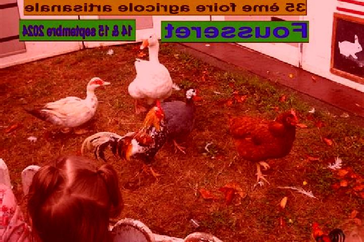 escort Le Fousseret