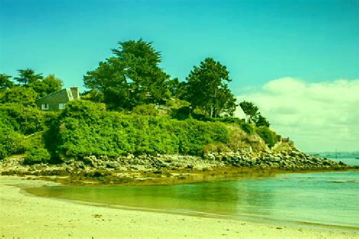 escort Le Theil-de-Bretagne
