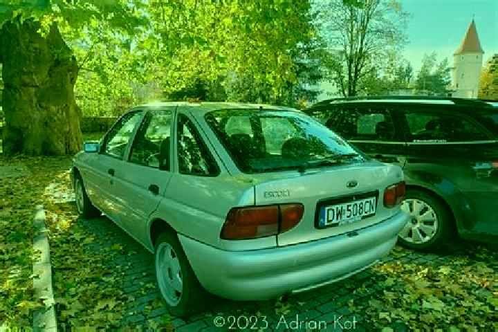 escort Leliukhivka