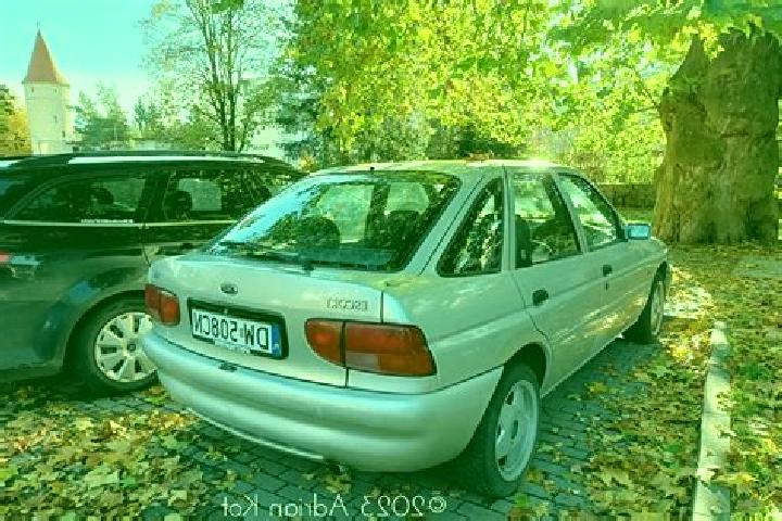 escort Lemland