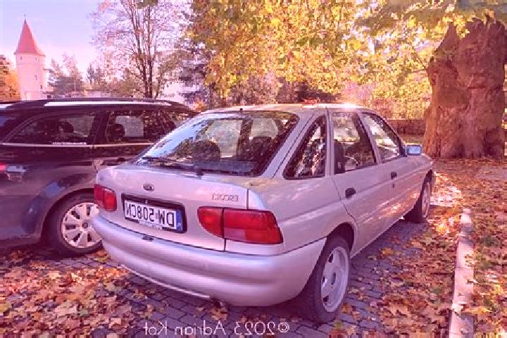 escort Leningradskiy