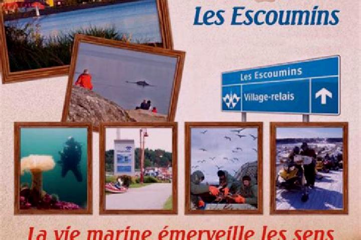escort Les Escoumins
